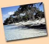 sandy beach